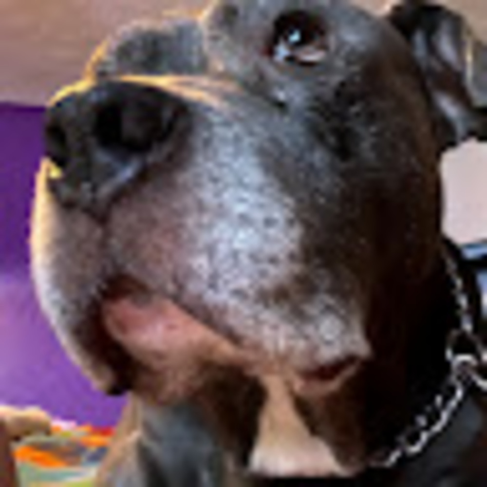 Meet your Posher, Madeline